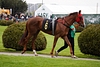 DSC00204.JPG