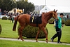 DSC00205.JPG