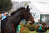 DSC00212.JPG