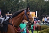 DSC00213.JPG