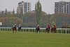 DSC00267.JPG