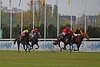 DSC00269.JPG