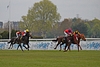 DSC00270.JPG