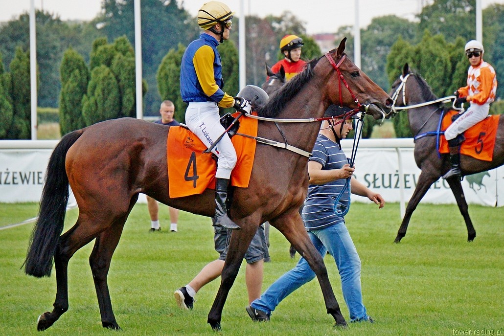 DSC00436.JPG