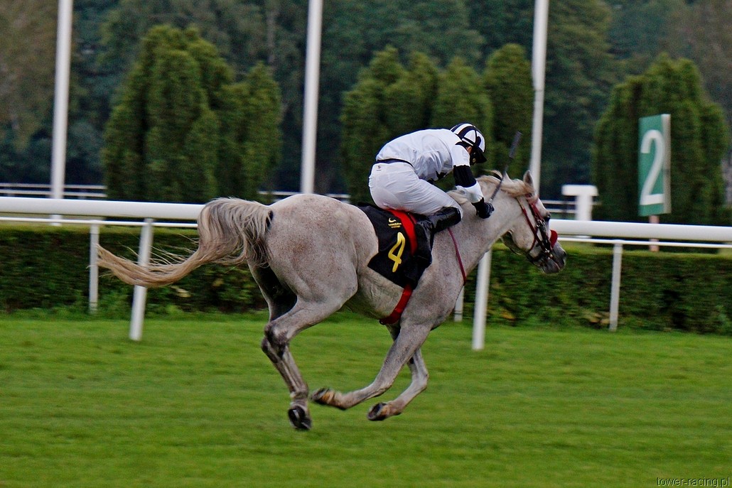 DSC00527.JPG