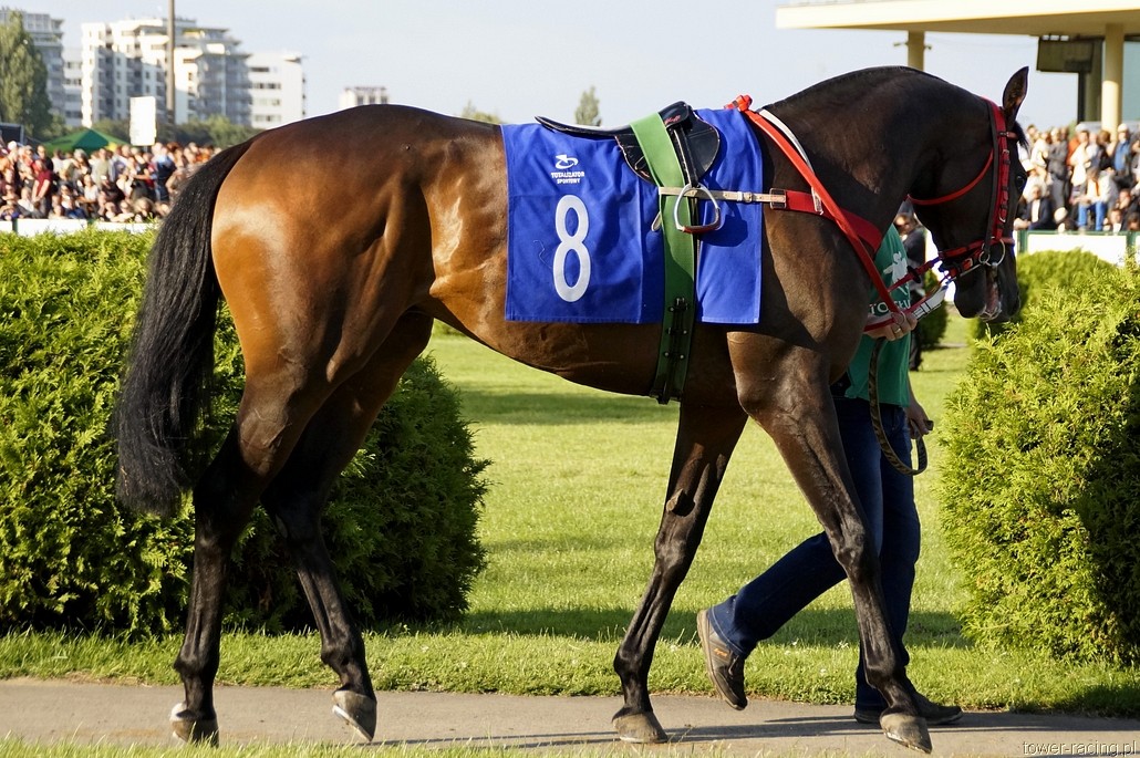 _DSC0409.JPG