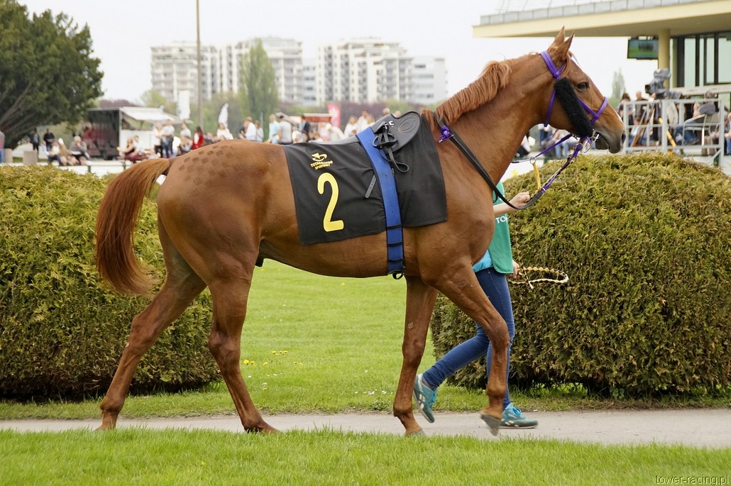_DSC0092.JPG