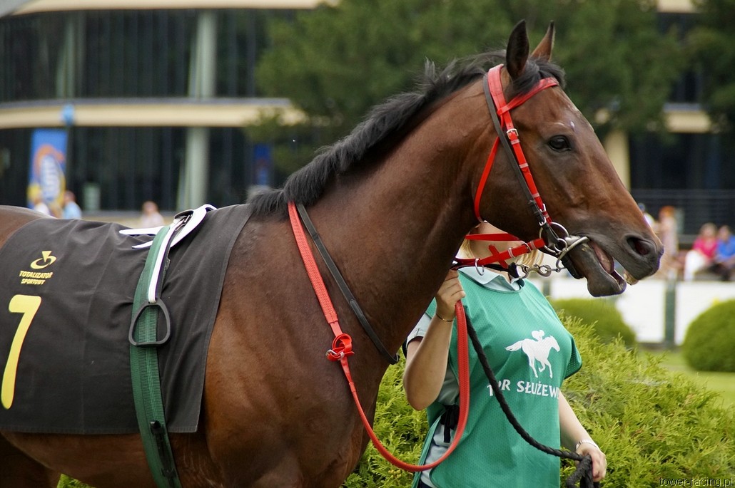 _DSC0031.JPG