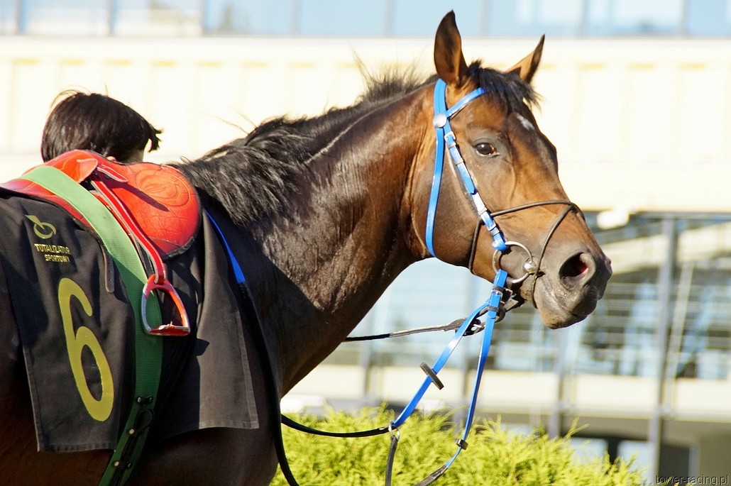 _DSC0194.JPG