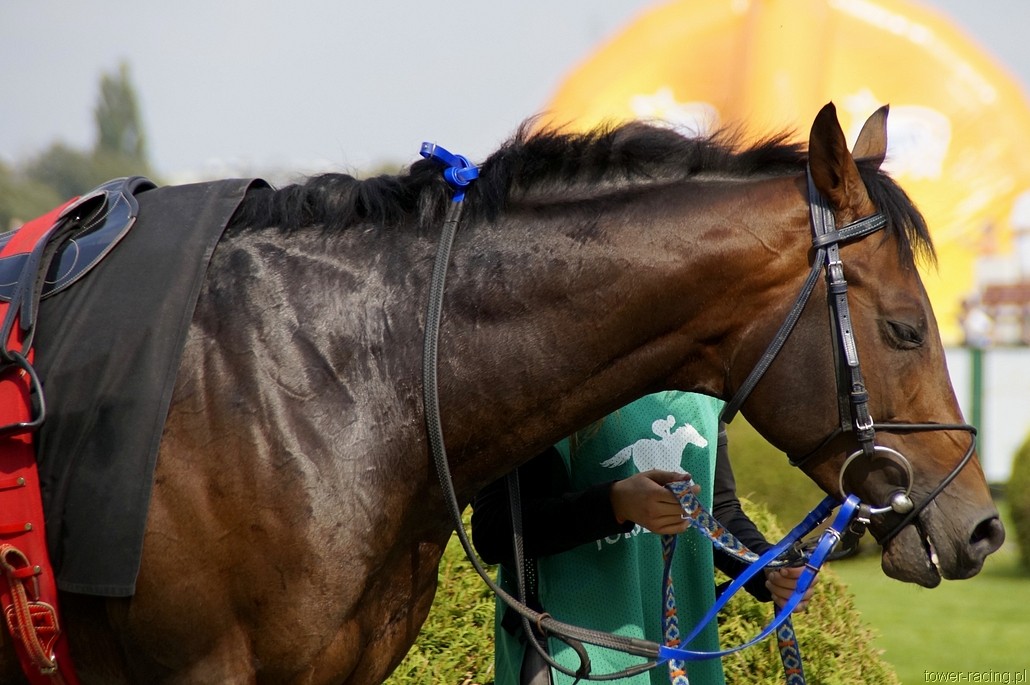 _DSC0017.JPG