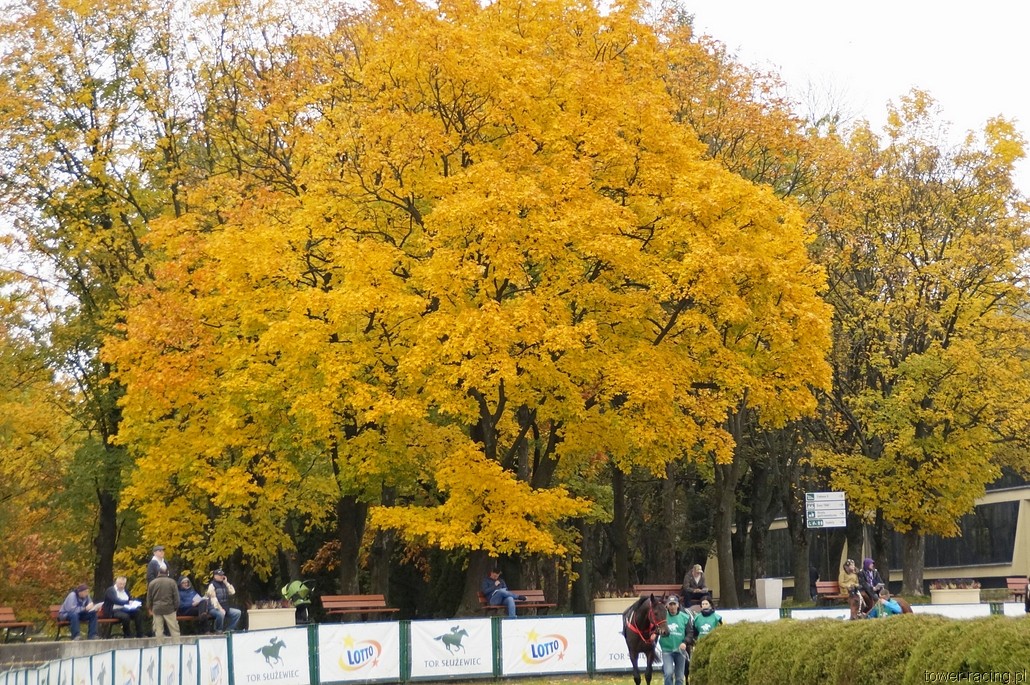 _DSC0016.JPG