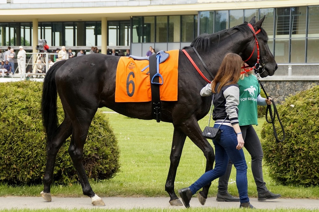 _DSC0008.JPG