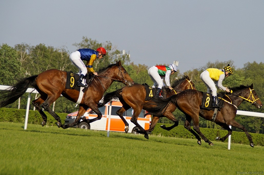 _DSC0297.JPG