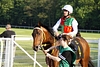 _DSC0308.JPG