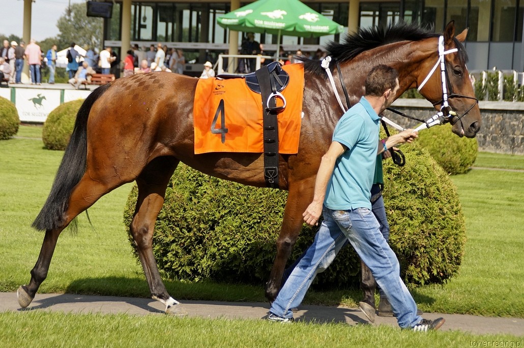 _DSC0059.JPG