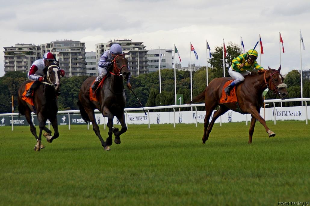 _DSC0094.JPG
