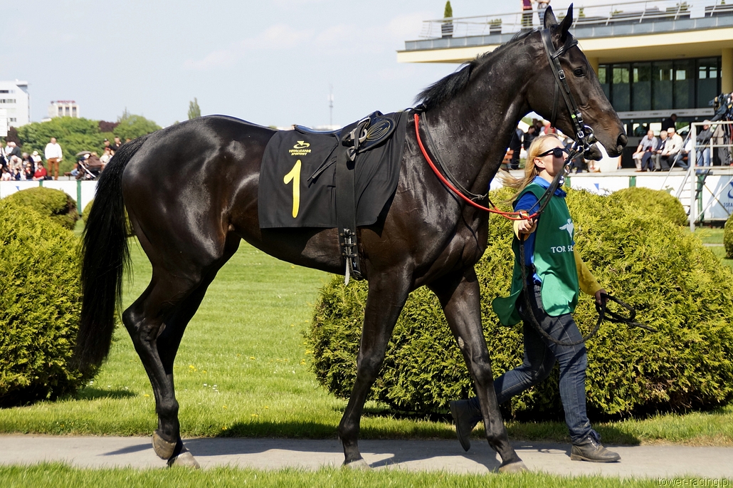 _DSC0072.JPG