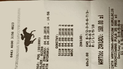WP_20160904_17_55_20_Pro.jpg